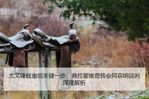 尤文锋线重组关键一步：弗拉霍维奇转会阿森纳谈判深度解析