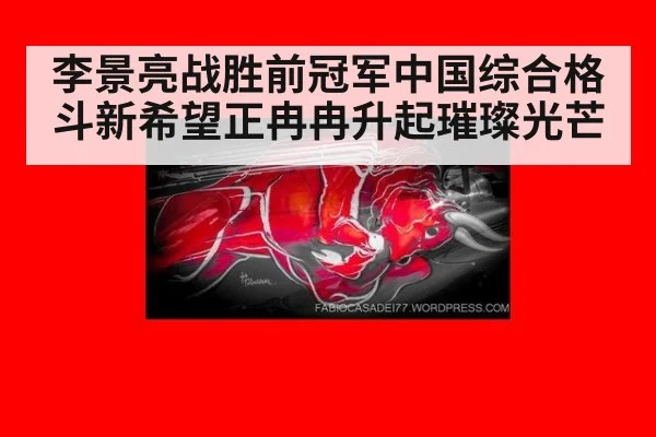 李景亮战胜前冠军中国综合格斗新希望正冉冉升起璀璨光芒