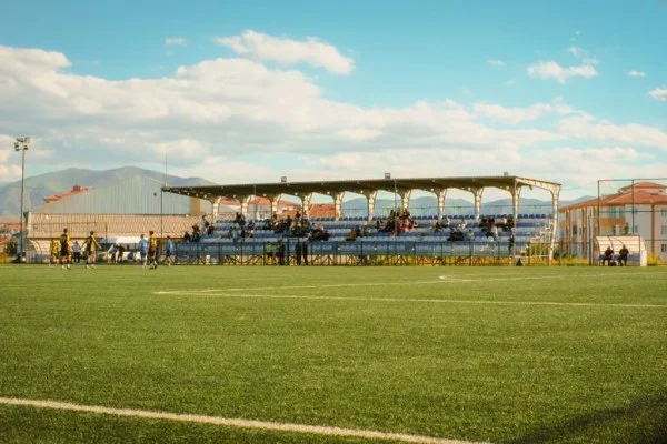 football fans stadium